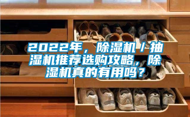 2022年，除濕機／抽濕機推薦選購攻略，除濕機真的有用嗎？