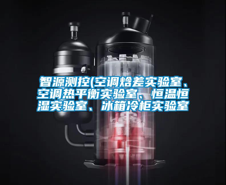 智源測(cè)控(空調(diào)焓差實(shí)驗(yàn)室、空調(diào)熱平衡實(shí)驗(yàn)室、恒溫恒濕實(shí)驗(yàn)室、冰箱冷柜實(shí)驗(yàn)室