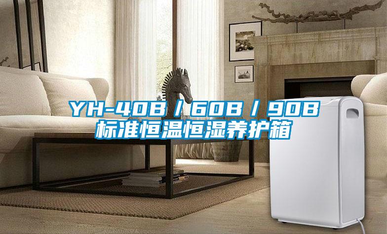 YH-40B/60B/90B標(biāo)準(zhǔn)恒溫恒濕養(yǎng)護(hù)箱