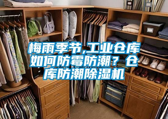 梅雨季節(jié),工業(yè)倉庫如何防霉防潮？倉庫防潮除濕機
