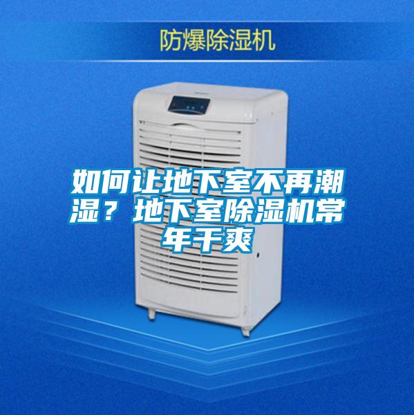 如何讓地下室不再潮濕？地下室除濕機常年干爽