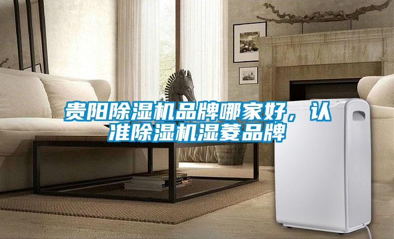貴陽(yáng)除濕機(jī)品牌哪家好，認(rèn)準(zhǔn)除濕機(jī)濕菱品牌