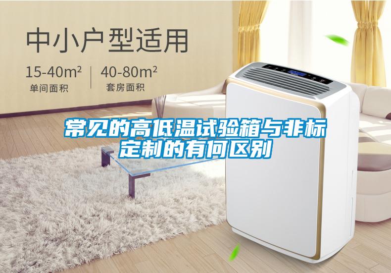 常見的高低溫試驗箱與非標定制的有何區(qū)別