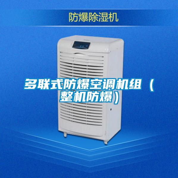 多聯(lián)式防爆空調(diào)機(jī)組(整機(jī)防爆)