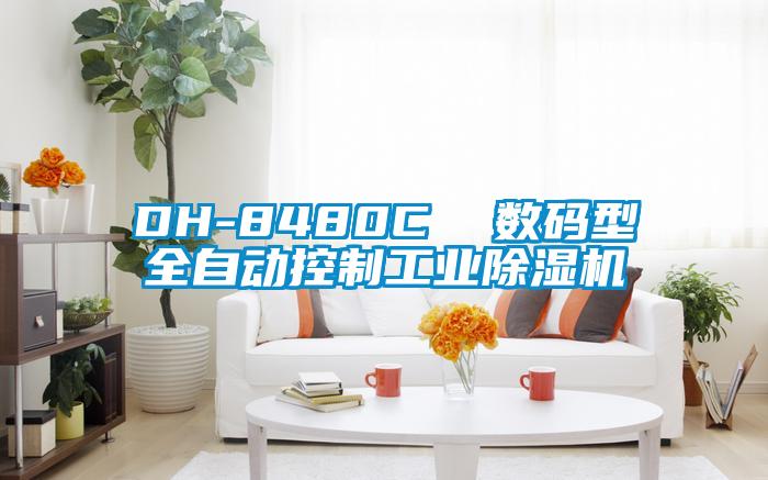 DH-8480C 數(shù)碼型全自動控制工業(yè)除濕機