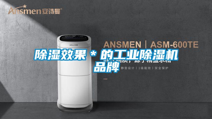 除濕效果*的工業除濕機品牌