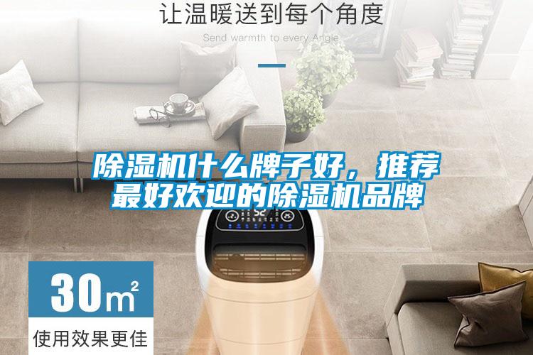 除濕機什么牌子好，推薦最好歡迎的除濕機品牌