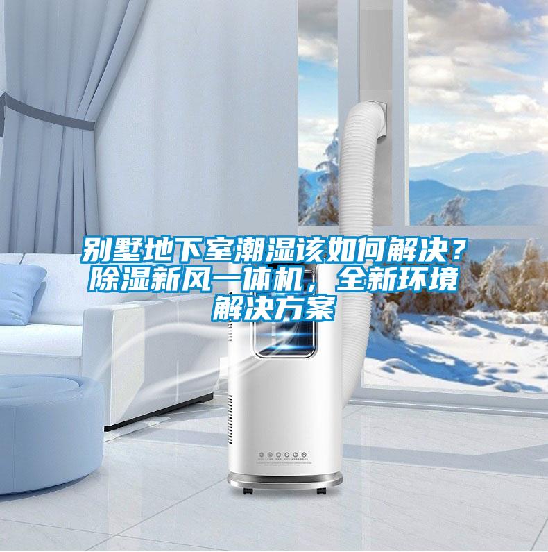 別墅地下室潮濕該如何解決？除濕新風(fēng)一體機，全新環(huán)境解決方案