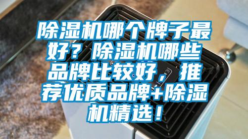 除濕機(jī)哪個(gè)牌子最好？除濕機(jī)哪些品牌比較好，推薦優(yōu)質(zhì)品牌+除濕機(jī)精選！