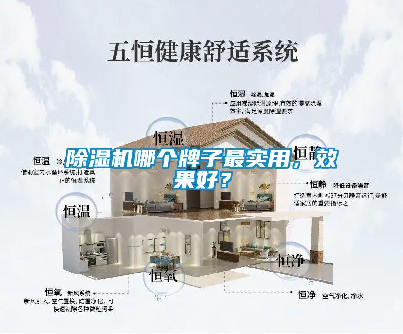 除濕機哪個牌子最實用,效果好?