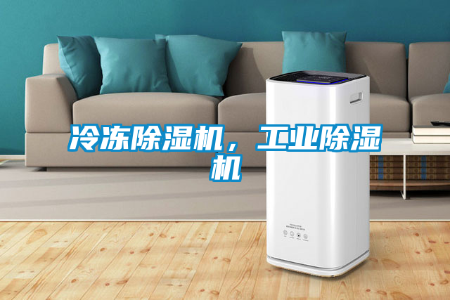 冷凍除濕機，工業除濕機