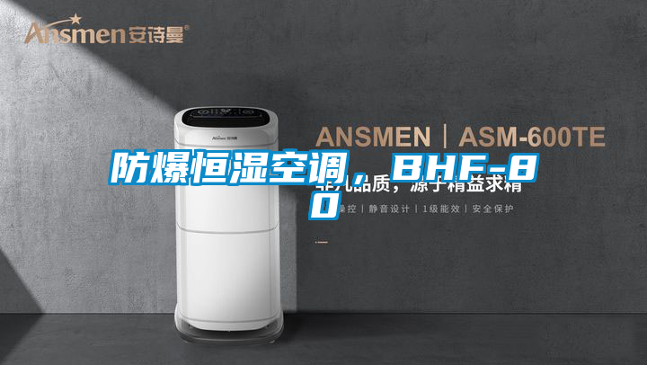 防爆恒濕空調(diào)，BHF-80