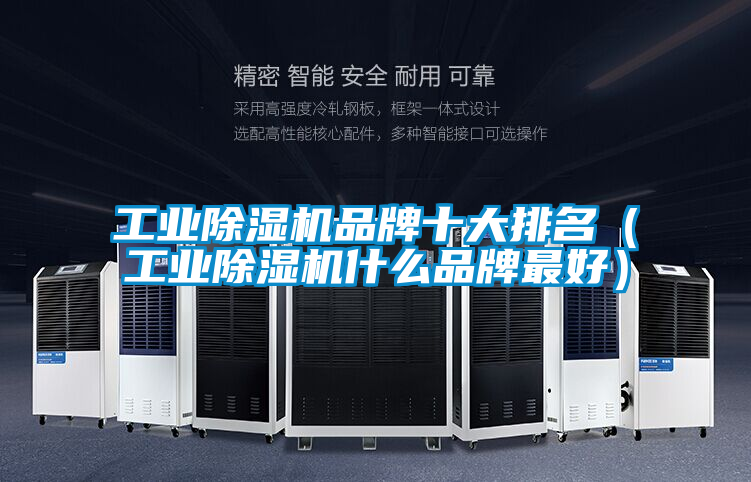 工業(yè)除濕機(jī)品牌十大排名(工業(yè)除濕機(jī)什么品牌最好)