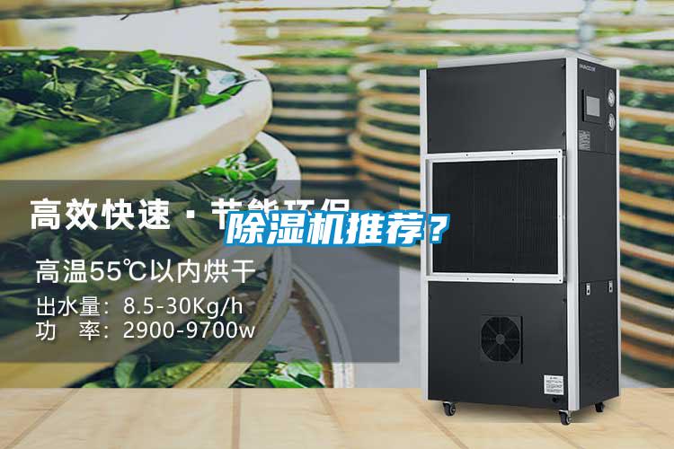 除濕機推薦？