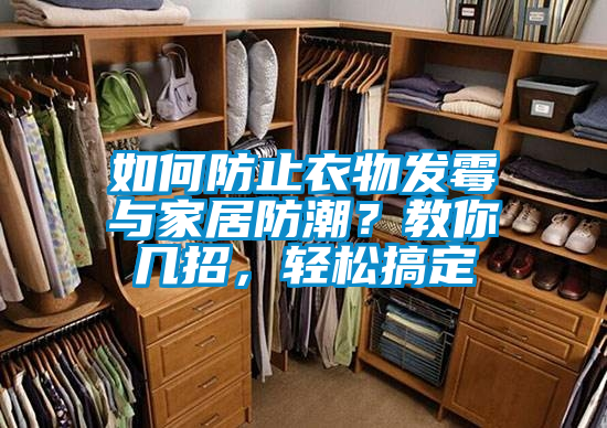 如何防止衣物發霉與家居防潮?教你幾招,輕松搞定