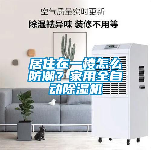 居住在一樓怎么防潮？家用全自動除濕機