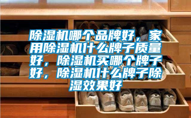 除濕機哪個品牌好，家用除濕機什么牌子質(zhì)量好，除濕機買哪個牌子好，除濕機什么牌子除濕效果好