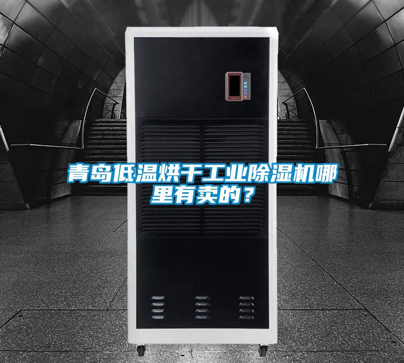 青島低溫烘干工業(yè)除濕機哪里有賣的？
