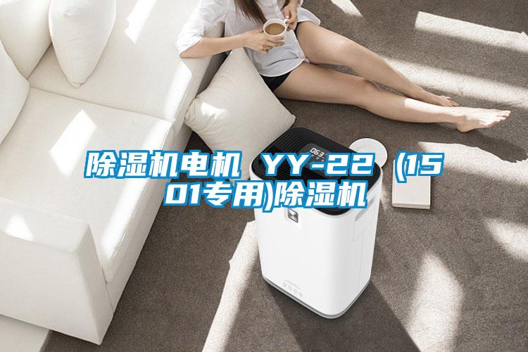 除濕機(jī)電機(jī) YY-22 (1501專(zhuān)用)除濕機(jī)
