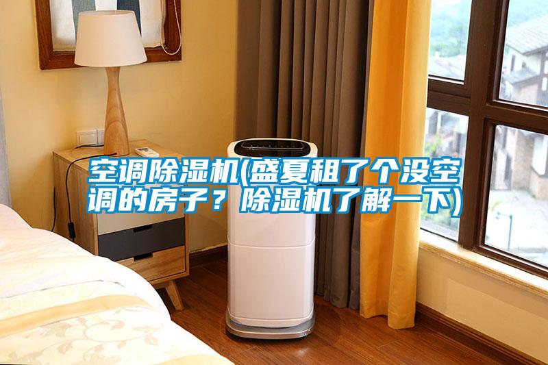空調除濕機(盛夏租了個沒空調的房子？除濕機了解一下)