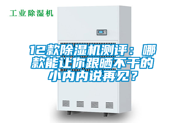 12款除濕機測評:哪款能讓你跟曬不干的小內內說再見?