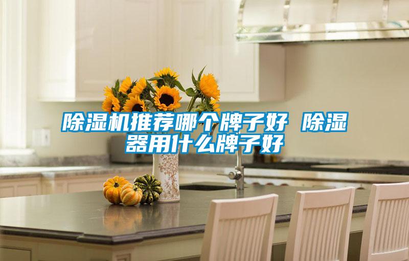 除濕機(jī)推薦哪個牌子好 除濕器用什么牌子好