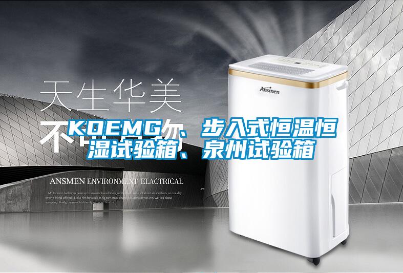 KOEMG 、步入式恒溫恒濕試驗箱、泉州試驗箱