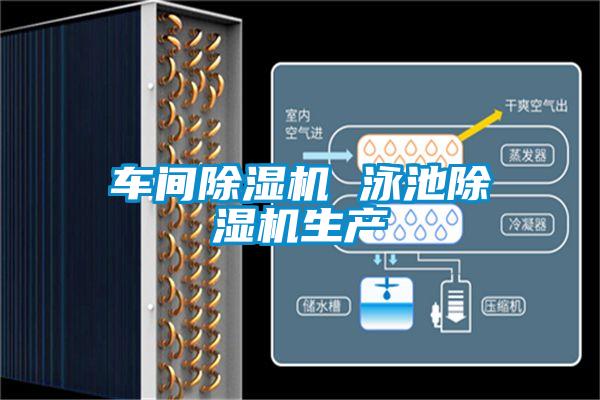 車(chē)間除濕機(jī) 泳池除濕機(jī)生產(chǎn)