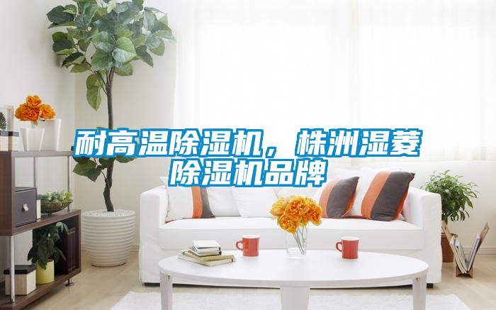 耐高溫除濕機(jī)，株洲濕菱除濕機(jī)品牌