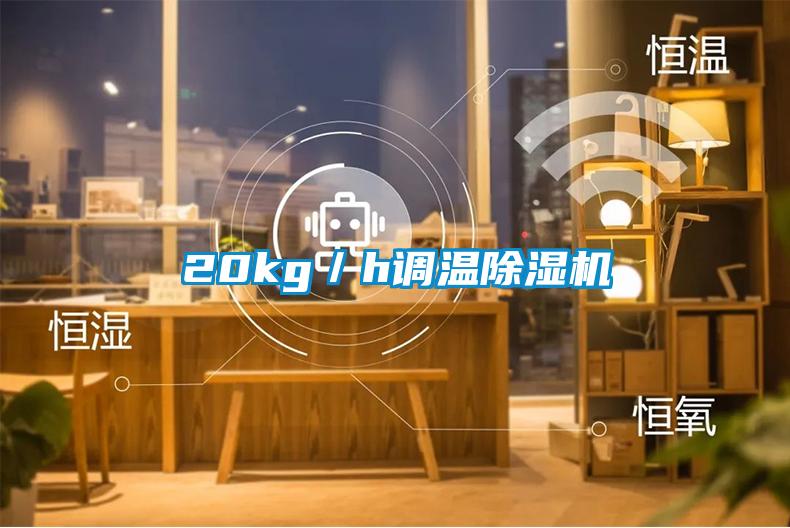 20kg/h調(diào)溫除濕機(jī)