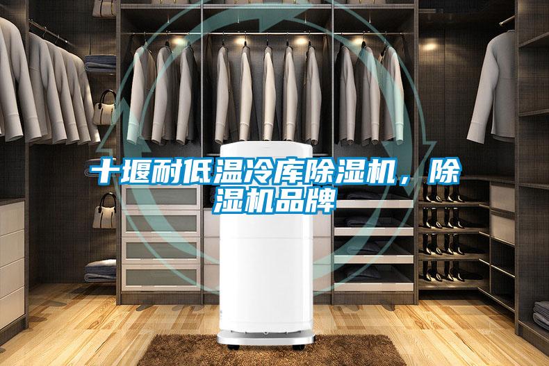 十堰耐低溫冷庫除濕機(jī),除濕機(jī)品牌