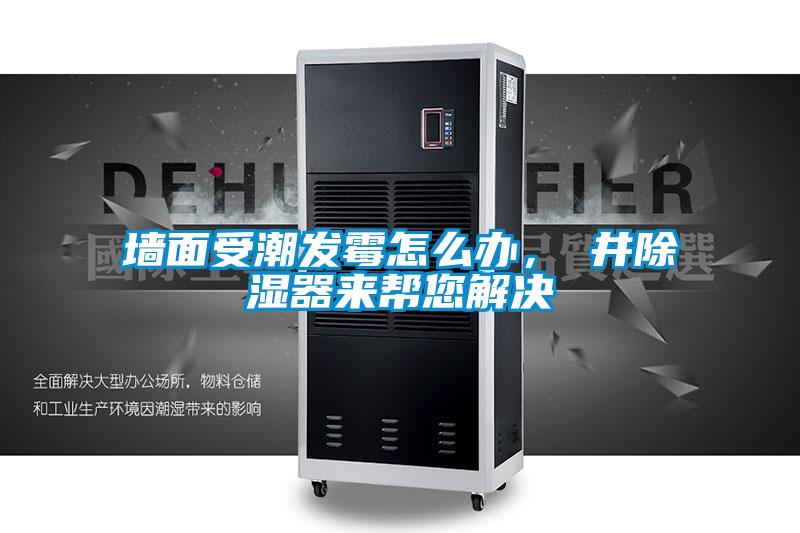 墻面受潮發霉怎么辦,東井除濕器來幫您解決
