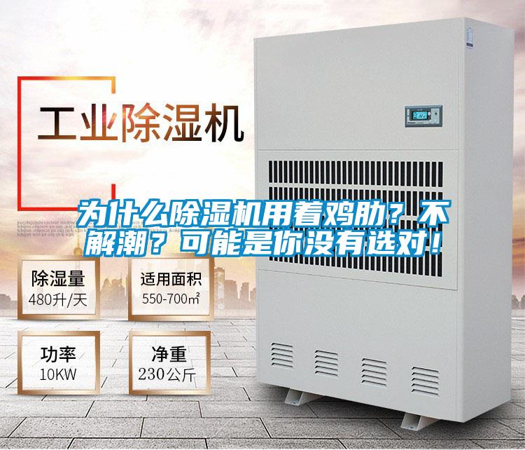 為什么除濕機(jī)用著雞肋？不解潮？可能是你沒有選對！
