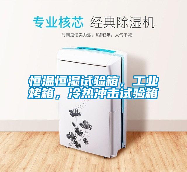 恒溫恒濕試驗箱，工業烤箱，冷熱沖擊試驗箱