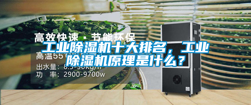 工業除濕機十大排名，工業除濕機原理是什么？