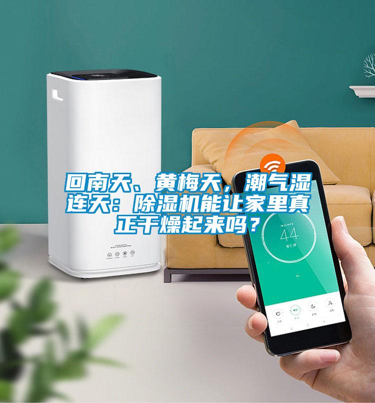 回南天、黃梅天，潮氣濕連天：除濕機能讓家里真正干燥起來嗎？