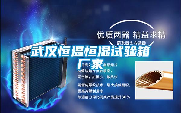 武漢恒溫恒濕試驗(yàn)箱廠家