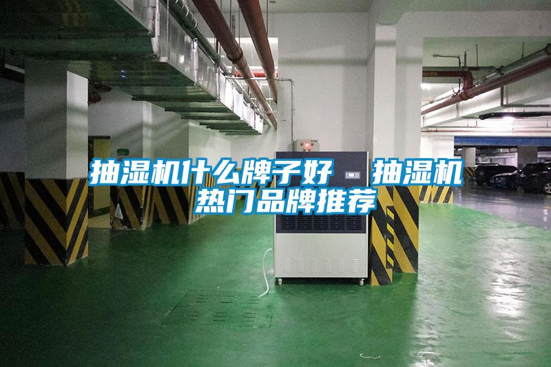 抽濕機什么牌子好 抽濕機 熱門品牌推薦