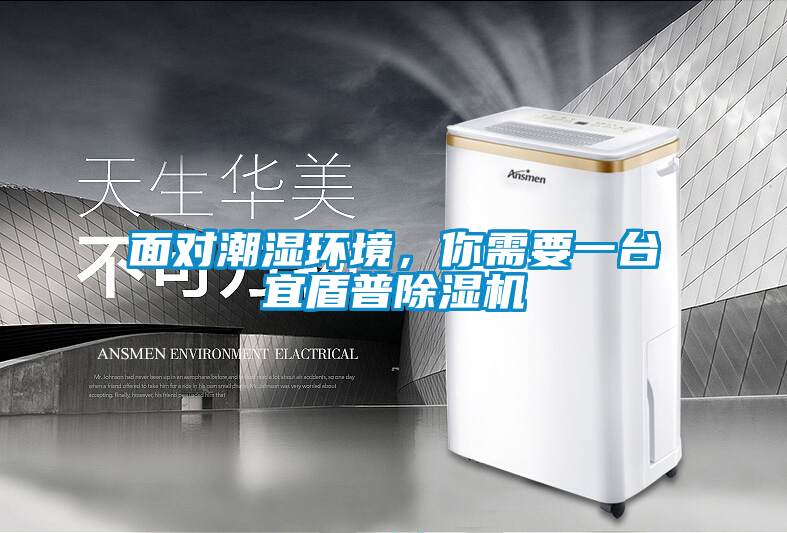 面對(duì)潮濕環(huán)境,你需要一臺(tái)宜盾普除濕機(jī)