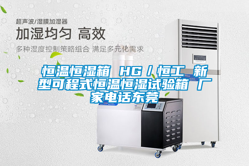 恒溫恒濕箱 HG/恒工 新型可程式恒溫恒濕試驗(yàn)箱 廠家電話東莞