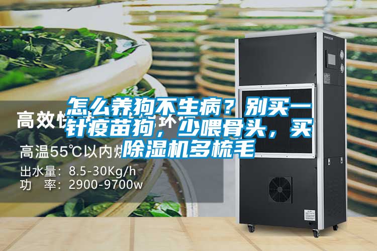 怎么養狗不生病？別買一針疫苗狗，少喂骨頭，買除濕機多梳毛