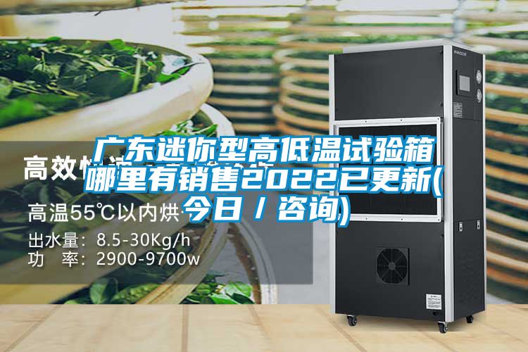 廣東迷你型高低溫試驗(yàn)箱哪里有銷售2022已更新(今日/咨詢)