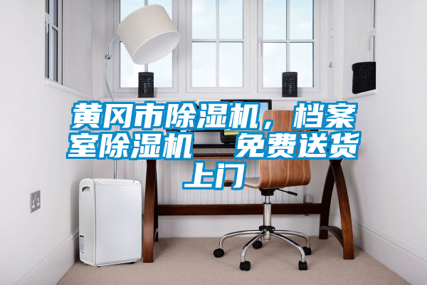 黃岡市除濕機(jī)，檔案室除濕機(jī)  免費(fèi)送貨上門