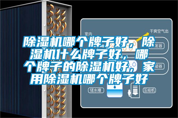 除濕機哪個牌子好，除濕機什么牌子好，哪個牌子的除濕機好，家用除濕機哪個牌子好