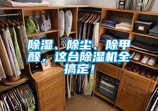 除濕、除塵、除甲醛,這臺除濕機全搞定!