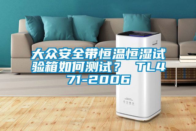 大眾安全帶恒溫恒濕試驗箱如何測試？ TL471-2006