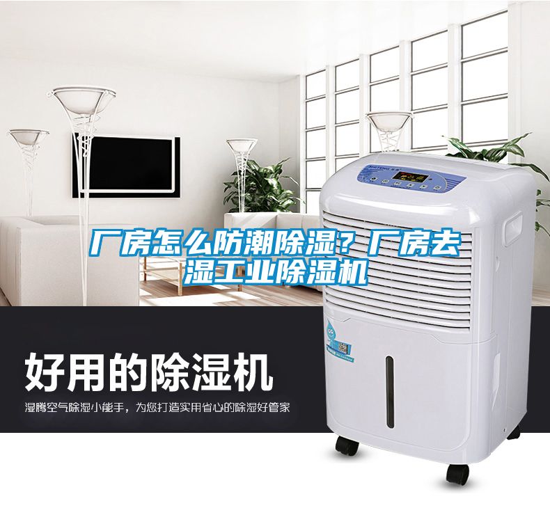 廠房怎么防潮除濕?廠房去濕工業(yè)除濕機