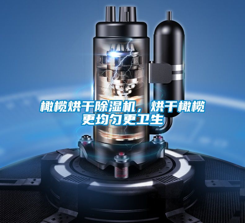 橄欖烘干除濕機，烘干橄欖更均勻更衛生