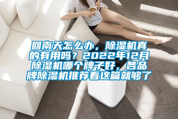回南天怎么辦，除濕機真的有用嗎？2022年12月除濕機哪個牌子好，各品牌除濕機推薦看這篇就夠了