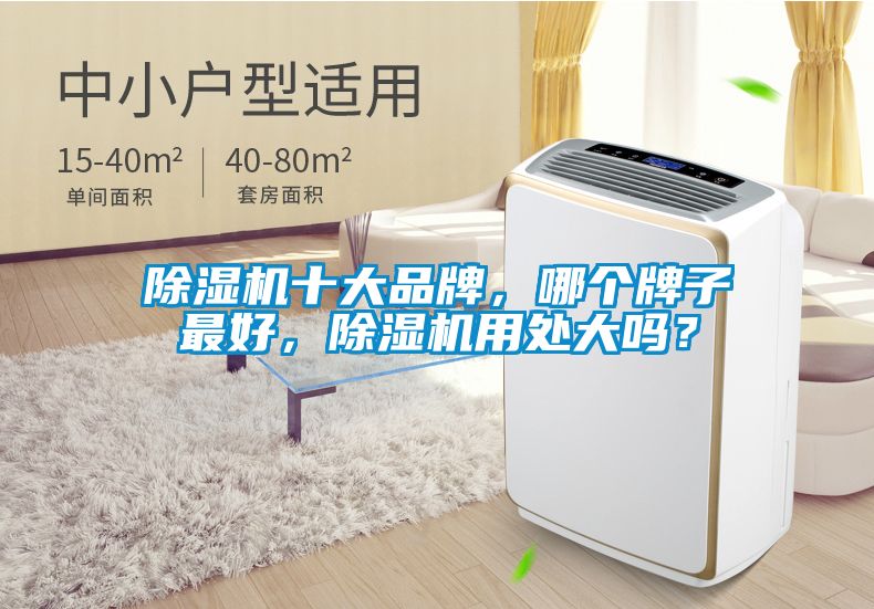 除濕機十大品牌，哪個牌子最好，除濕機用處大嗎？